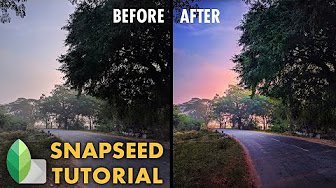 Snapseed Editing Tips – Pro Photo Editing Tricks for Mobile Users